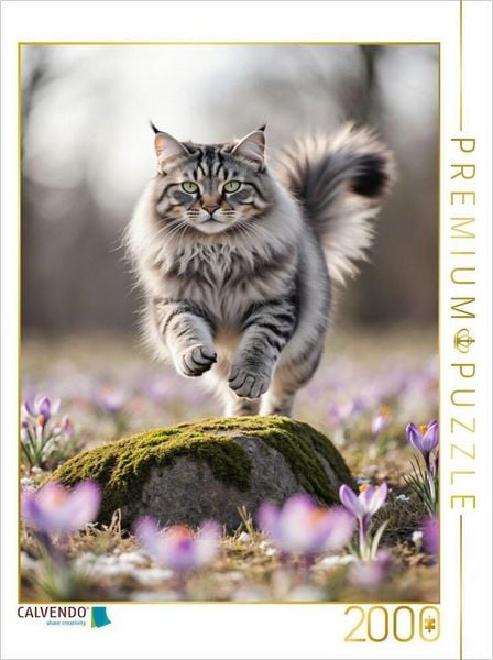 CALVENDO Puzzle Eine Maine Coon Katze springt über einen Felsen und bewegt sich voller Energie durch die Frühlingsblumen | 2000 Teile Lege-Größe 90x67cm Foto-Puzzle für glückliche Stunden