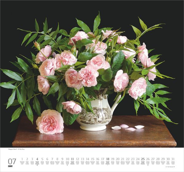 Produktbild: Geliebte Rosen 2027