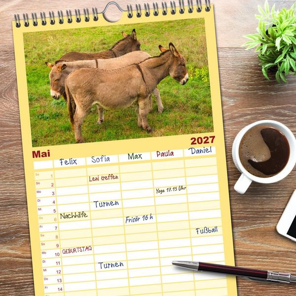 Produktbild: Familienplaner 2027 - Liebenswerte Esel mit 5 Spalten (Wandkalender, 21 x 45 cm) CALVENDO