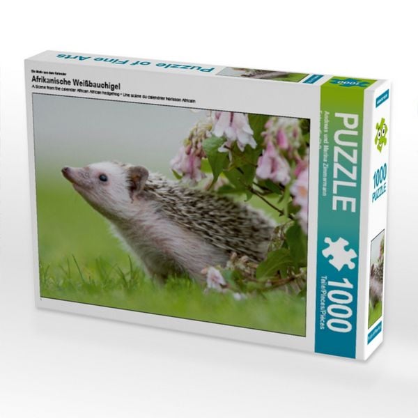 CALVENDO Puzzle Ein Motiv aus dem Kalender Afrikanische Weißbauchigel | 1000 Teile Lege-Größe 64 × 48 cm Foto-Puzzle für glückliche Stunden