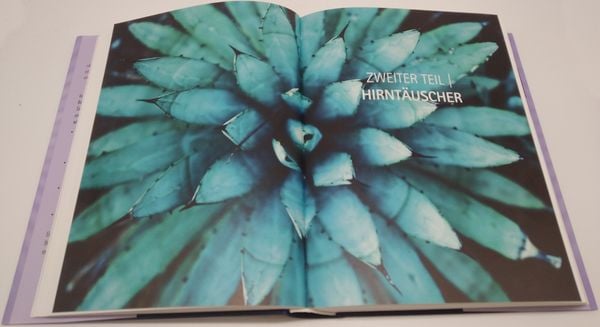 Produktbild: Heile dein Gehirn &ndash; Das Praxisprogramm