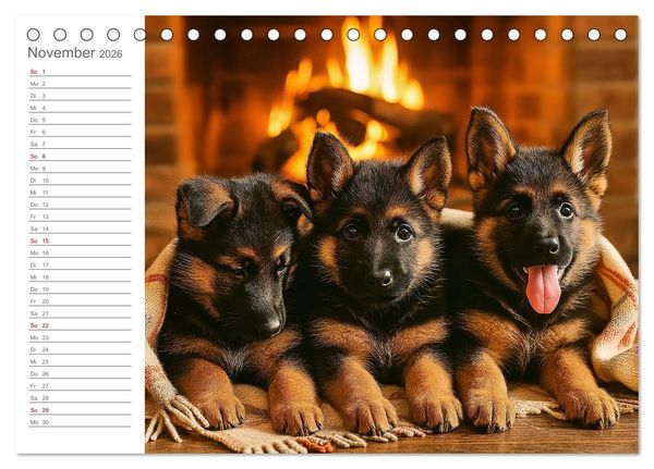 Produktbild: Sch&auml;ferhundliebe - Deine t&auml;gliche Dosis Welpenfreude &ndash; ganz ohne Gassi. (Tischkalender 2026 DIN A5 quer), CALVENDO Monatskalender
