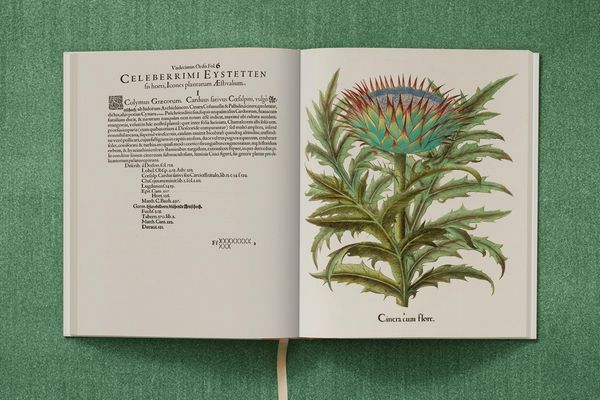 Produktbild: Basilius Besler. The Garden at Eichst&auml;tt