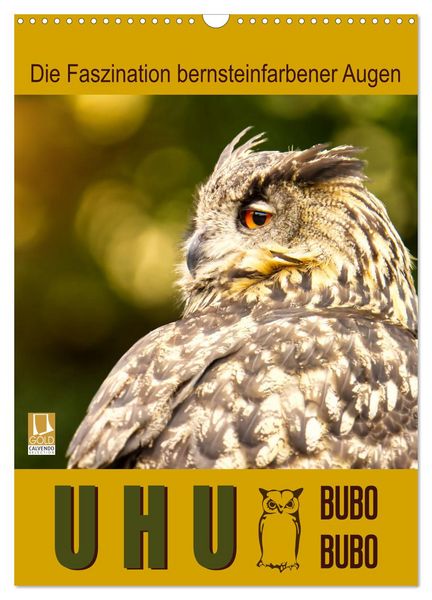 Produktbild: Uhu, die Faszination bernsteinfarbener Augen (Wandkalender 2026 DIN A3 hoch), CALVENDO Monatskalender