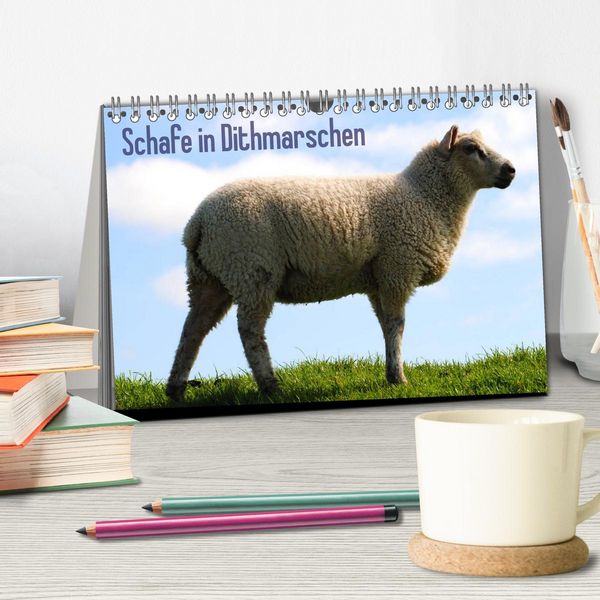 Produktbild: Schafe in Dithmarschen (Tischkalender 2026 DIN A5 quer), CALVENDO Monatskalender