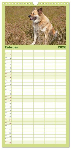 Produktbild: Familienplaner 2026 - Hunde - Beste Freunde der Menschen mit 5 Spalten (Wandkalender, 21 x 45 cm) CALVENDO