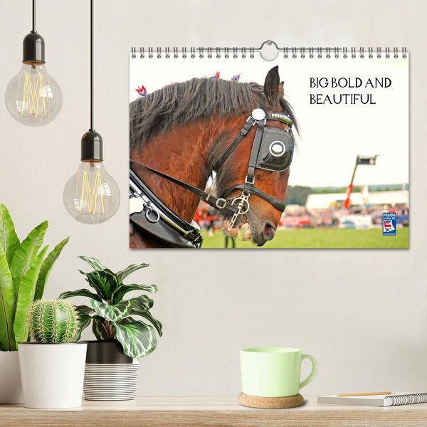 Produktbild: BIG BOLD AND BEAUTIFUL (Wall Calendar 2026 DIN A4 landscape), CALVENDO 12 Month Wall Calendar