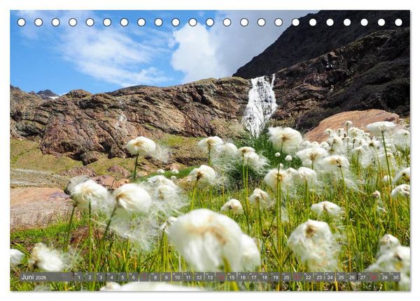 Produktbild: Flora der Alpen (Tischkalender 2026 DIN A5 quer), CALVENDO Monatskalender