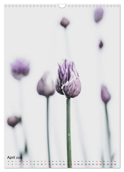 Produktbild: Pure Flowers (Wandkalender 2026 DIN A3 hoch), CALVENDO Monatskalender