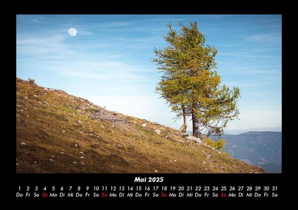 Produktbild: B&auml;ume 2025 Fotokalender DIN A3
