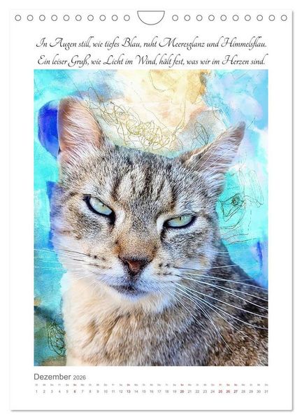 Produktbild: Katzenlyrik - Zw&ouml;lf Seelen auf Samtpfoten in Wort und Bild (Wandkalender 2026 DIN A4 hoch), CALVENDO Monatskalender
