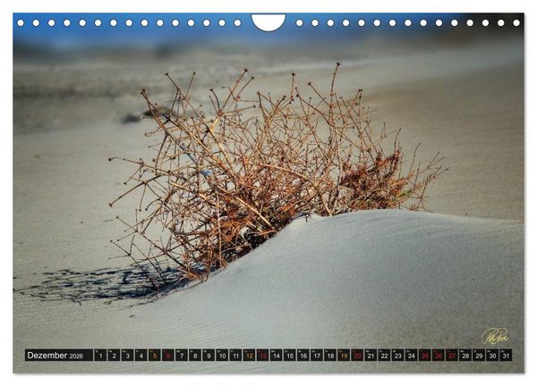 Produktbild: Nordsee-D&uuml;nen (Wandkalender 2026 DIN A4 quer), CALVENDO Monatskalender
