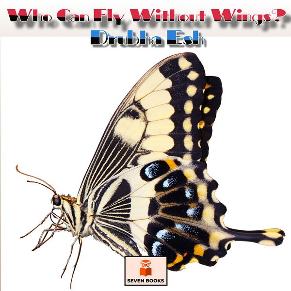 Produktbild: Who Can Fly Without Wings?