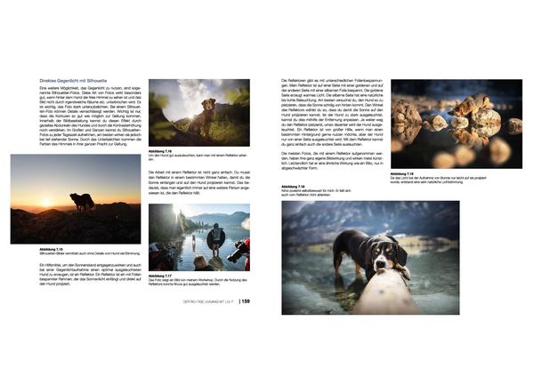 Hundefotografie