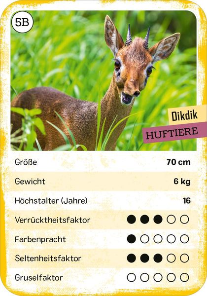 Produktbild: Das verr&uuml;ckte Quartett