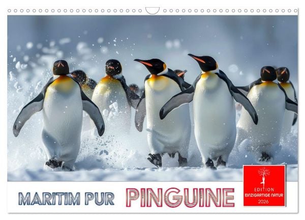 Produktbild: Maritim pur - Pinguine (Wandkalender 2026 DIN A3 quer), CALVENDO Monatskalender