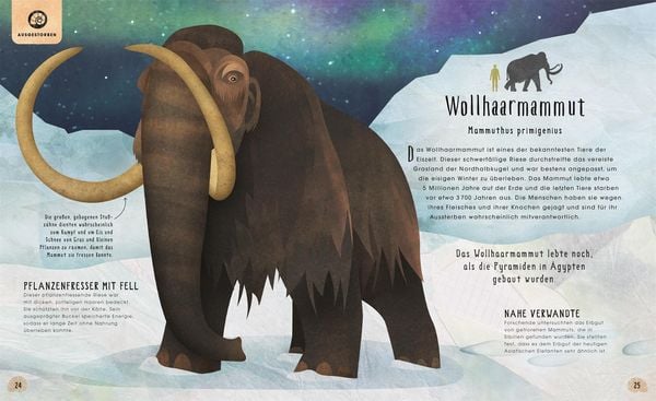 Produktbild: Tiere: 50 Geschichten &uuml;ber Mammut, Panda, Elefant und Co.