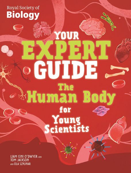 Produktbild: The Human Body for Young Scientists