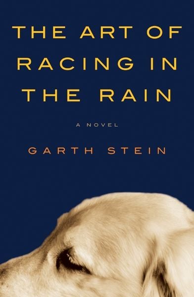 Produktbild: The Art of Racing in the Rain