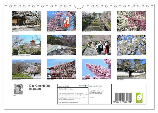 Produktbild: Die Kirschbl&uuml;te in Japan (Wandkalender 2026 DIN A4 quer), CALVENDO Monatskalender
