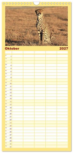 Produktbild: Familienplaner 2027 - Geparden - Begegnungen in Afrika mit 5 Spalten (Wandkalender, 21 x 45 cm) CALVENDO