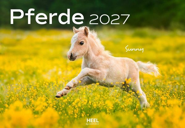 Produktbild: Pferde Kalender 2027 Wandkalender