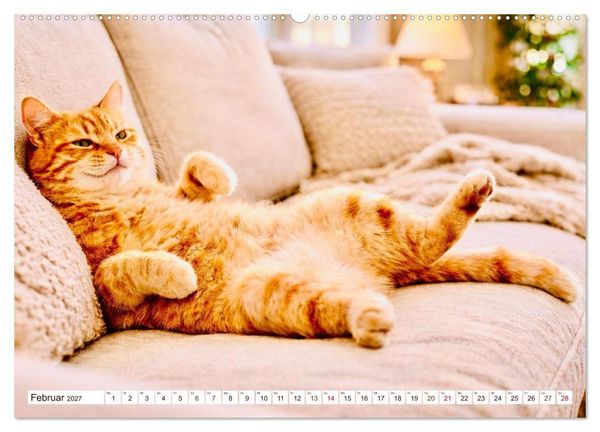 Produktbild: Rote Katzen (hochwertiger Premium Wandkalender 2027 DIN A2 quer), Kunstdruck in Hochglanz
