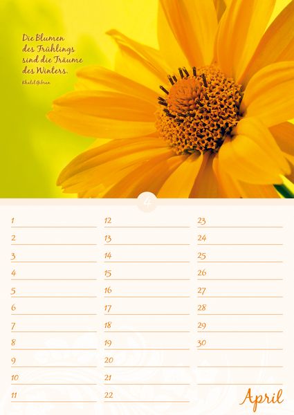 Produktbild: Geburtstagskalender Bl&uuml;tenpracht - immerw&auml;hrend - (21 x 30)