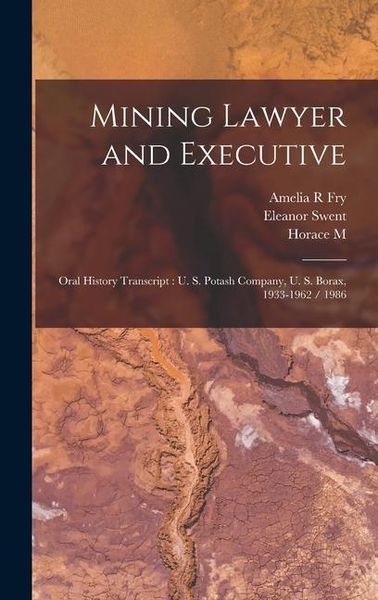 Produktbild: Mining Lawyer and Executive