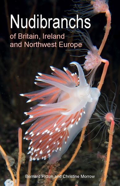 Produktbild: Nudibranchs of Britain, Ireland and Northwest Europe