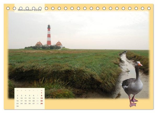 Produktbild: Leuchtt&uuml;rme Schleswig-Holsteins (Tischkalender 2026 DIN A5 quer), CALVENDO Monatskalender