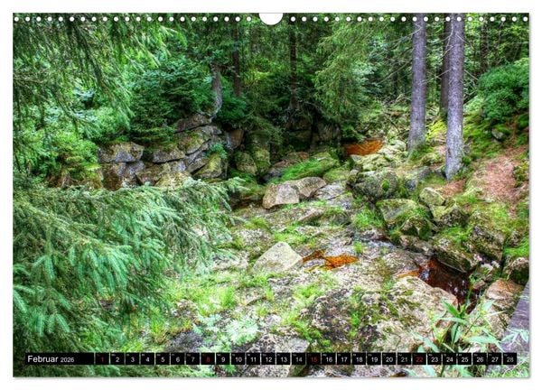 Produktbild: Verzauberter Harz (Wandkalender 2026 DIN A3 quer), CALVENDO Monatskalender