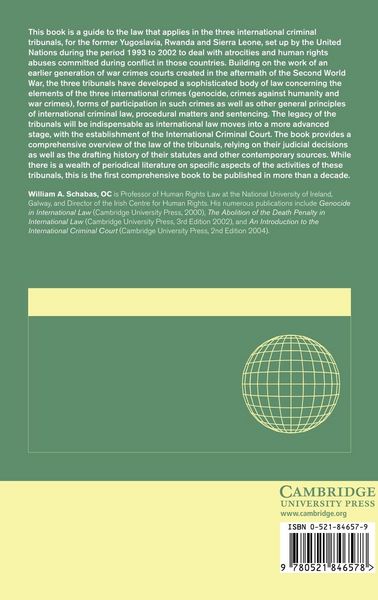 Produktbild: The Un International Criminal Tribunals