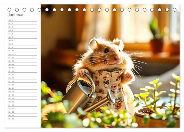 Produktbild: Hamsti Haushalt - Ordnung mit Pfiff und Flausch (Tischkalender 2026 DIN A5 quer), CALVENDO Monatskalender