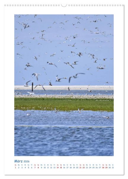 Produktbild: Texel - Momente die verzaubern (Wandkalender 2026 DIN A2 hoch), CALVENDO Monatskalender