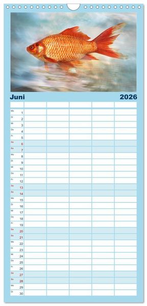 Produktbild: Familienplaner 2026 - Fischwelt - Artwork mit 5 Spalten (Wandkalender, 21 x 45 cm) CALVENDO