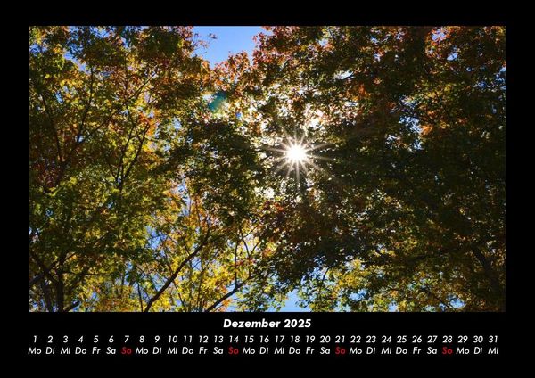 Produktbild: Landschaftskalender 2025 Fotokalender DIN A3