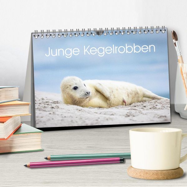 Produktbild: Junge Kegelrobben (Tischkalender 2026 DIN A5 quer), CALVENDO Monatskalender