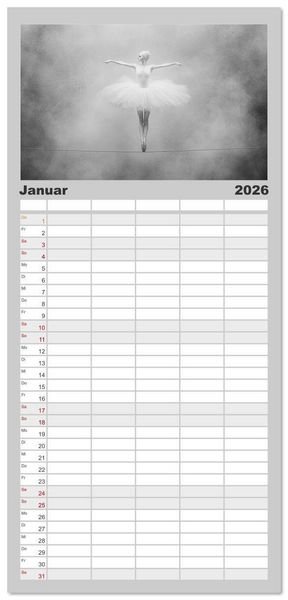 Produktbild: Familienplaner 2026 - Im Pas de Deux mit der Stille mit 5 Spalten (Wandkalender, 21 x 45 cm) CALVENDO