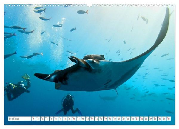 Produktbild: Malediven - Traumstr&auml;nde im Paradies (Wandkalender 2026 DIN A2 quer), CALVENDO Monatskalender