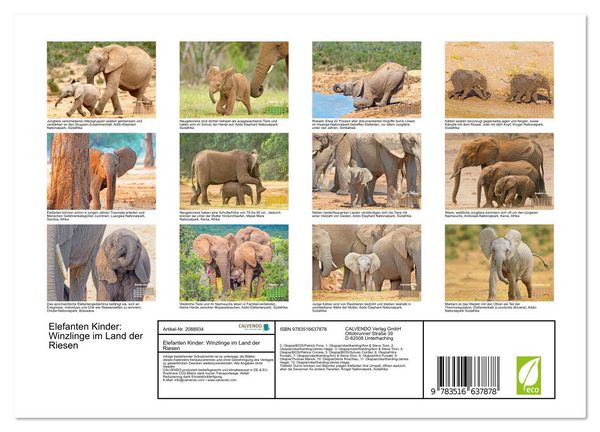 Produktbild: Elefanten Kinder: Winzlinge im Land der Riesen (Wandkalender 2026 DIN A4 quer), CALVENDO Monatskalender