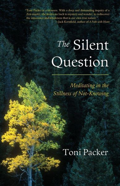 Produktbild: The Silent Question