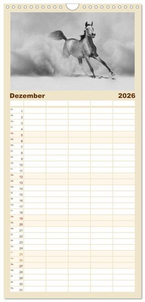 Produktbild: Familienplaner 2026 - Arabische Pferde mit 5 Spalten (Wandkalender, 21 x 45 cm) CALVENDO
