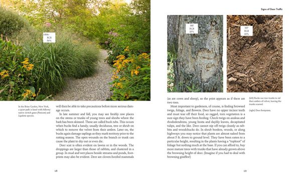 Produktbild: 50 Beautiful Deer-Resistant Plants