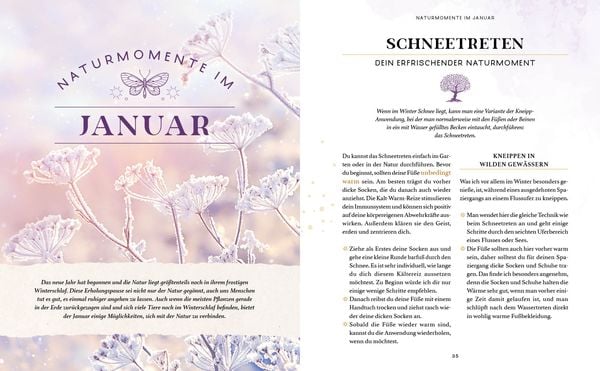 Produktbild: Zaubernuss und Waldmagie – Naturmomente für deine Seele