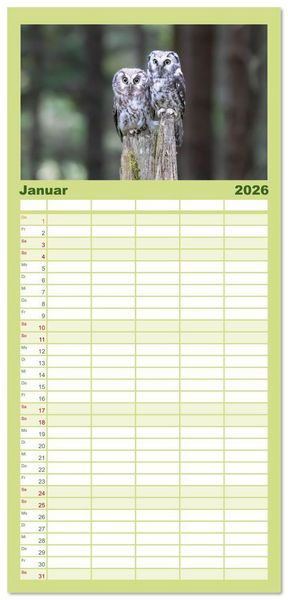 Produktbild: Familienplaner 2026 - Eulen - Fl&uuml;gel der Nacht mit 5 Spalten (Wandkalender, 21 x 45 cm) CALVENDO