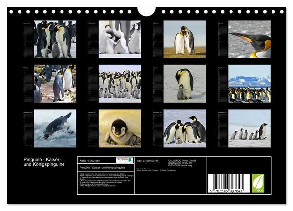 Produktbild: Pinguine - Kaiser- und K&ouml;nigspinguine (Wandkalender 2026 DIN A4 quer), CALVENDO Monatskalender