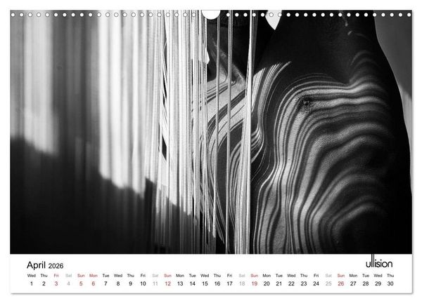 Produktbild: Male Nude Art (Wall Calendar 2026 DIN A3 landscape), CALVENDO 12 Month Wall Calendar