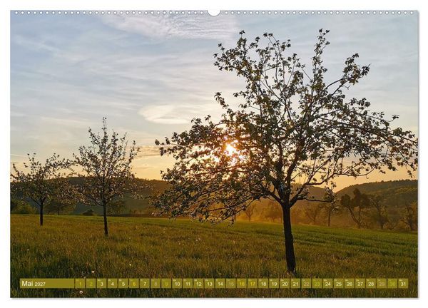 Produktbild: Apfelbaum und Streuobstwiesen (hochwertiger Premium Wandkalender 2027 DIN A2 quer), Kunstdruck in Hochglanz