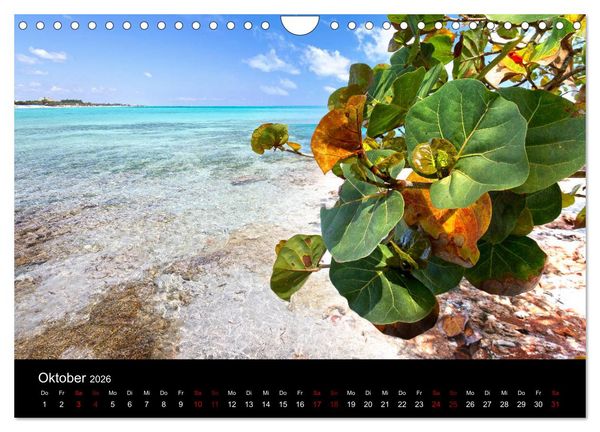 Produktbild: Kuba Varadero 2026 Leben im Paradies (Wandkalender 2026 DIN A4 quer), CALVENDO Monatskalender